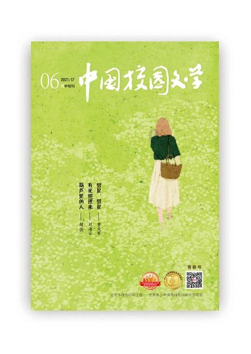 缅甸一军机在印度降落时滑出跑道 致8人受伤